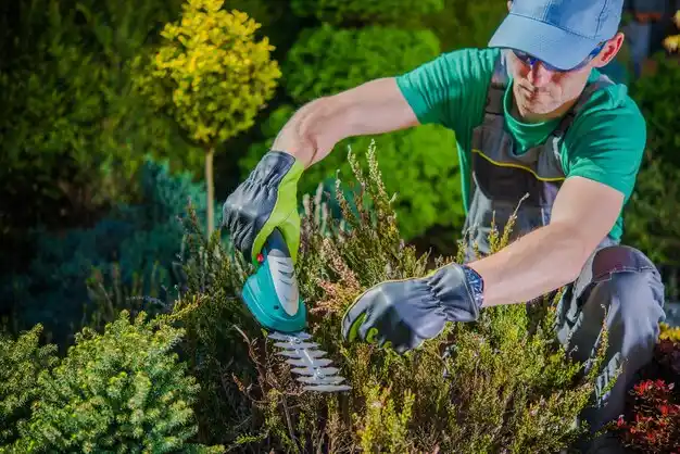 landscaping services Sherrill
